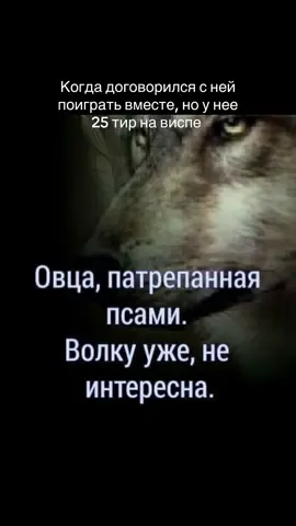 Twitch:kornillove Tg:Kornillovee #kornilove #dota #dota2 