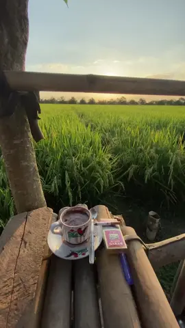 ☕☺️ drinking coffee while enjoying the view...