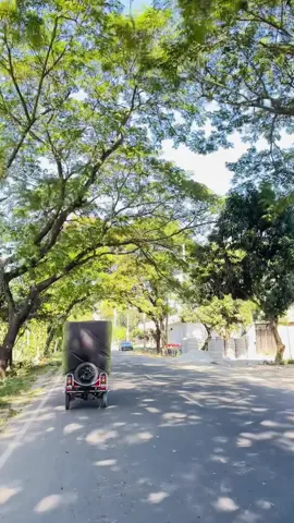 আজ আমরা চেনা হয়েও আজ অনেক অচেনা ☺️ #fllowers #foruyou #highlight #bogura 