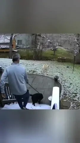 The last one 😂😂😂 #scared #prank #lmao 