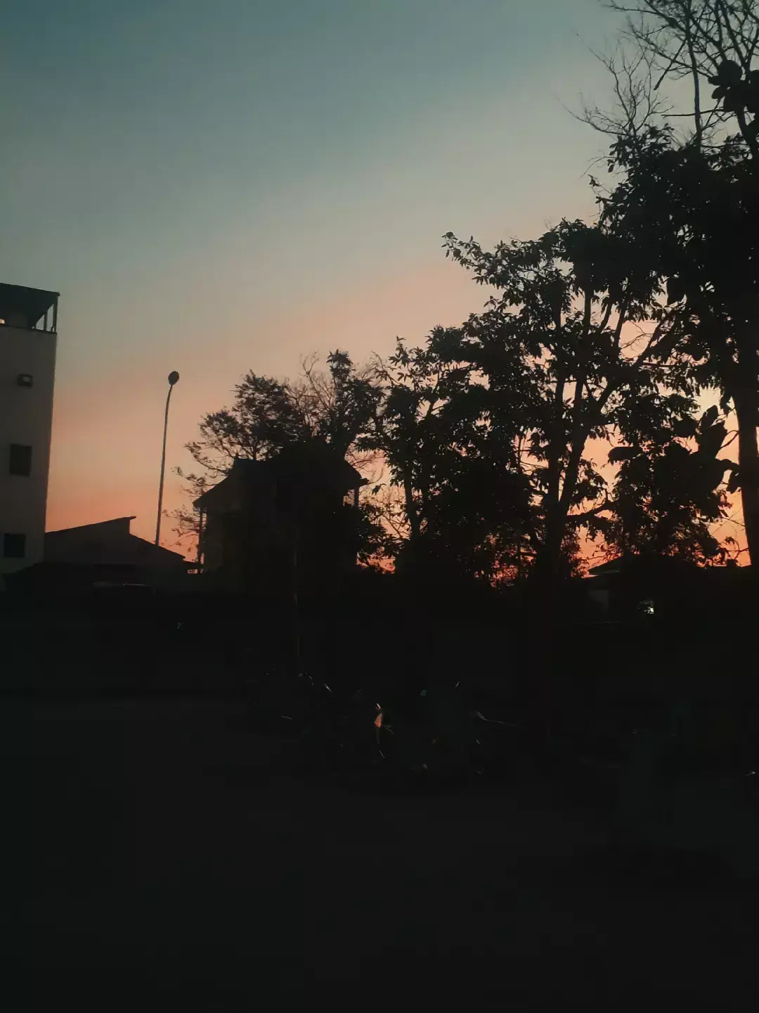 #thpthuynhthuckhang #txvt 