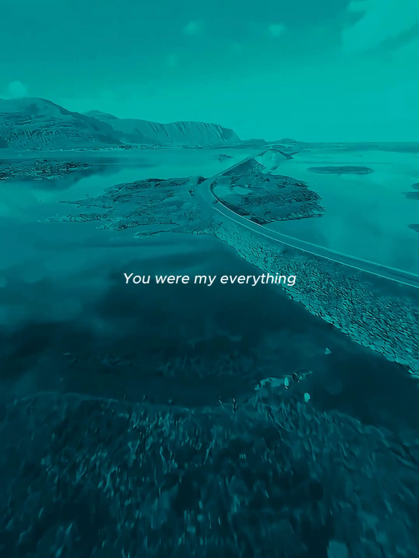 Never forget You. #zaralarsson #fyp #lyrics #foryoupage 