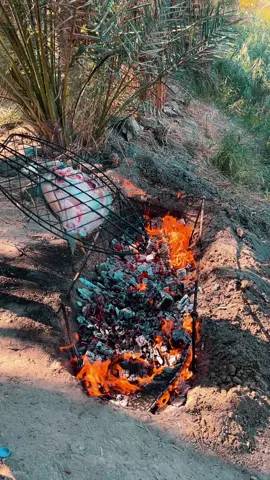 راحه نفسيه 😉#سفره_سفوري_اويلي_يابه😂😂 #اهوار_الچبايش #الشعب_الصيني_ماله_حل😂😂 #اكسبلور #حسوني_الملكي 