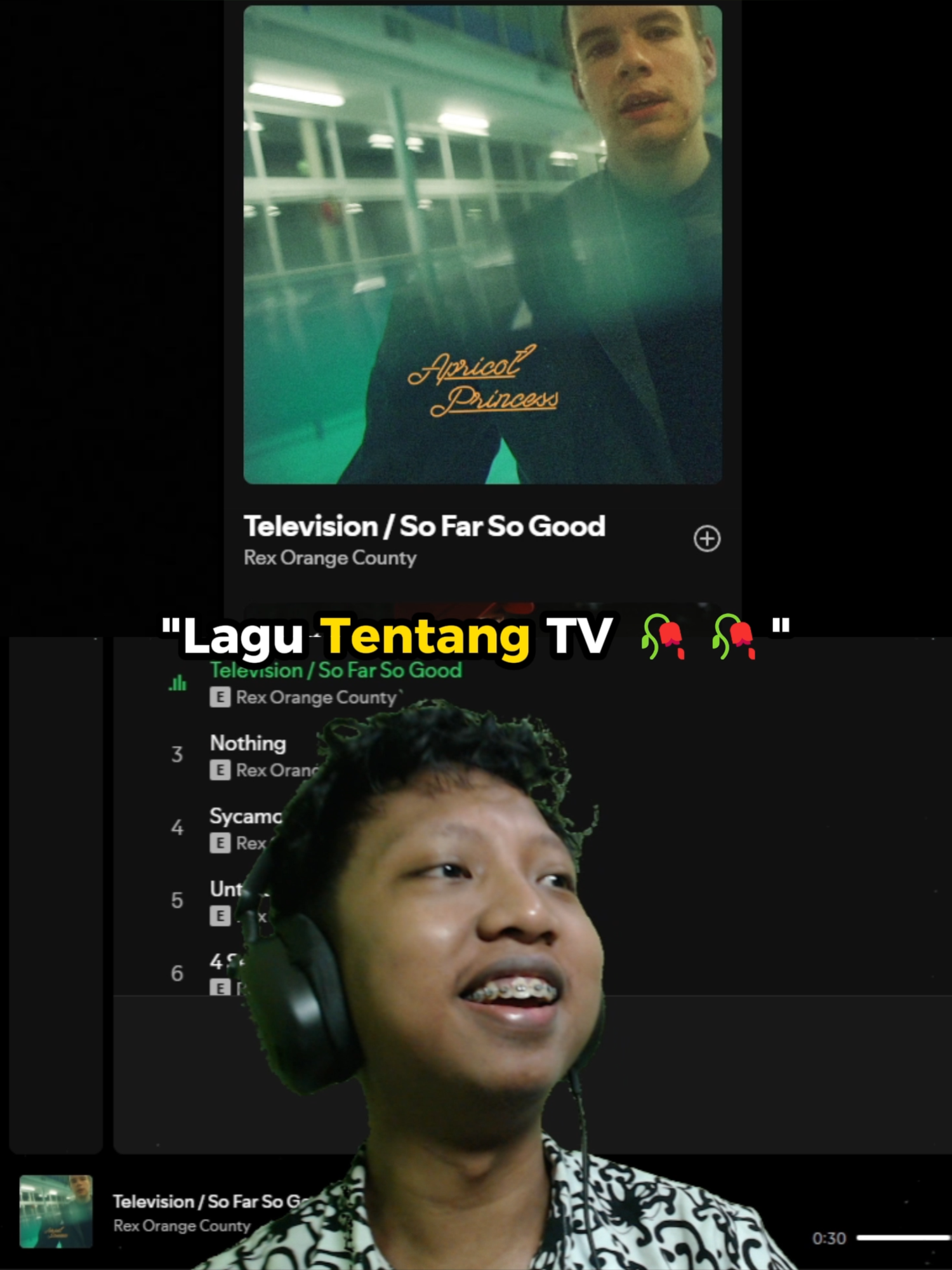 Lagu tentang TV #awoktampan #awok #clips #fyp #streamer
