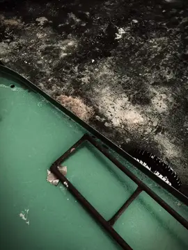 Phần 1 Tình yêu đủ lớn đã lo cho em #tamtrang #tinhyeu #fyp 