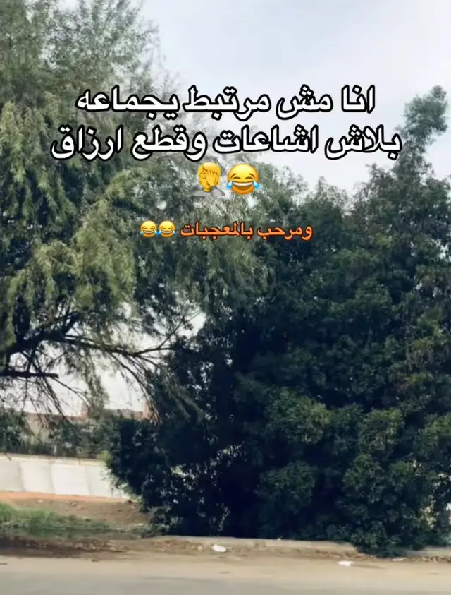 #مين سنجل معايا 😂😂