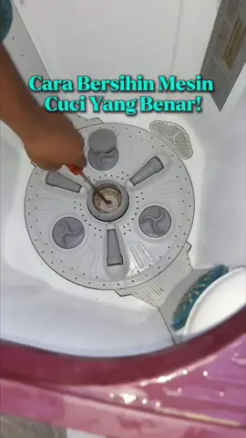 ayo rajin bersihin mesin cuci sekarang juga!! 🤩✨ #wiselieindonesia #GajianSale #promoguncang1212 #pembersihmesincuci #mesincucikotor 