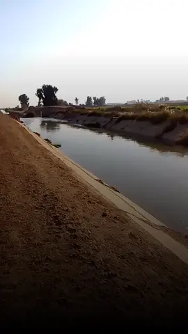 #CapCut #می_دڵان🕋📿 ##اللهم_صلي_على_نبينا_محمد 