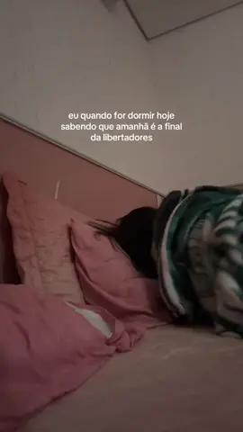 🕊️💥 #palmeiras #palmeirasminhavidaevoce #fyp #foryou #foryoupage 