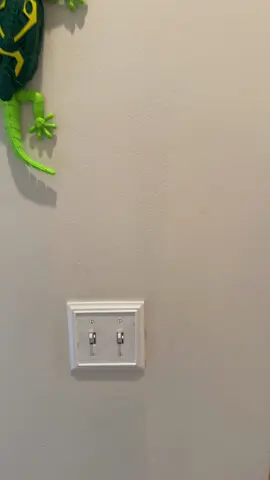 Trending toy alert 🚨 Everyone’s obsessed with this electric lizard! #blackfriday #GeckoToy #WallCrawlerToy #RemoteControlFun #TrendingToys