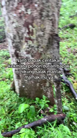 🤣#lagubatak #tapselmandailing #storybatak #marancar#foyoupage 