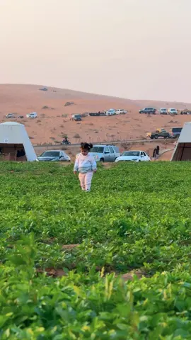 وجودي على النفودي وجودي نوم النفودي 😂 محمية الديدحان اليوم الجمعه  #محمية_الديدحان_بالخطة #اكسبلور #explore 