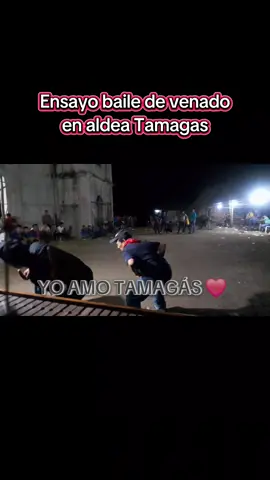 ensayo baile de venado en aldea Tamagas #aldeatamagas #livingstonizabal #baile