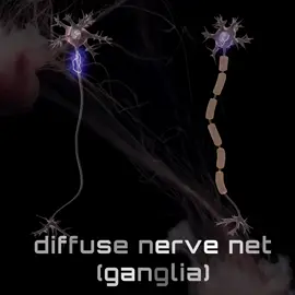 Hard to believe what evolution is capable of. And yes, the brain made an edit about itself :) #brain#humanity#edit#Science#evolution