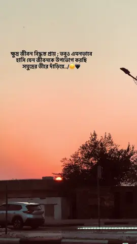 একই নিয়মে জীবন কেটে যাচ্ছে,সকল সূখ বিলিয়ে দিয়ে দিনশেষে আমি বাড়ি ফিরি দুঃখের বাজার নিয়ে..!🙂🖤#CapCut #foryoupage #fyp #Munnafbhaiyye 