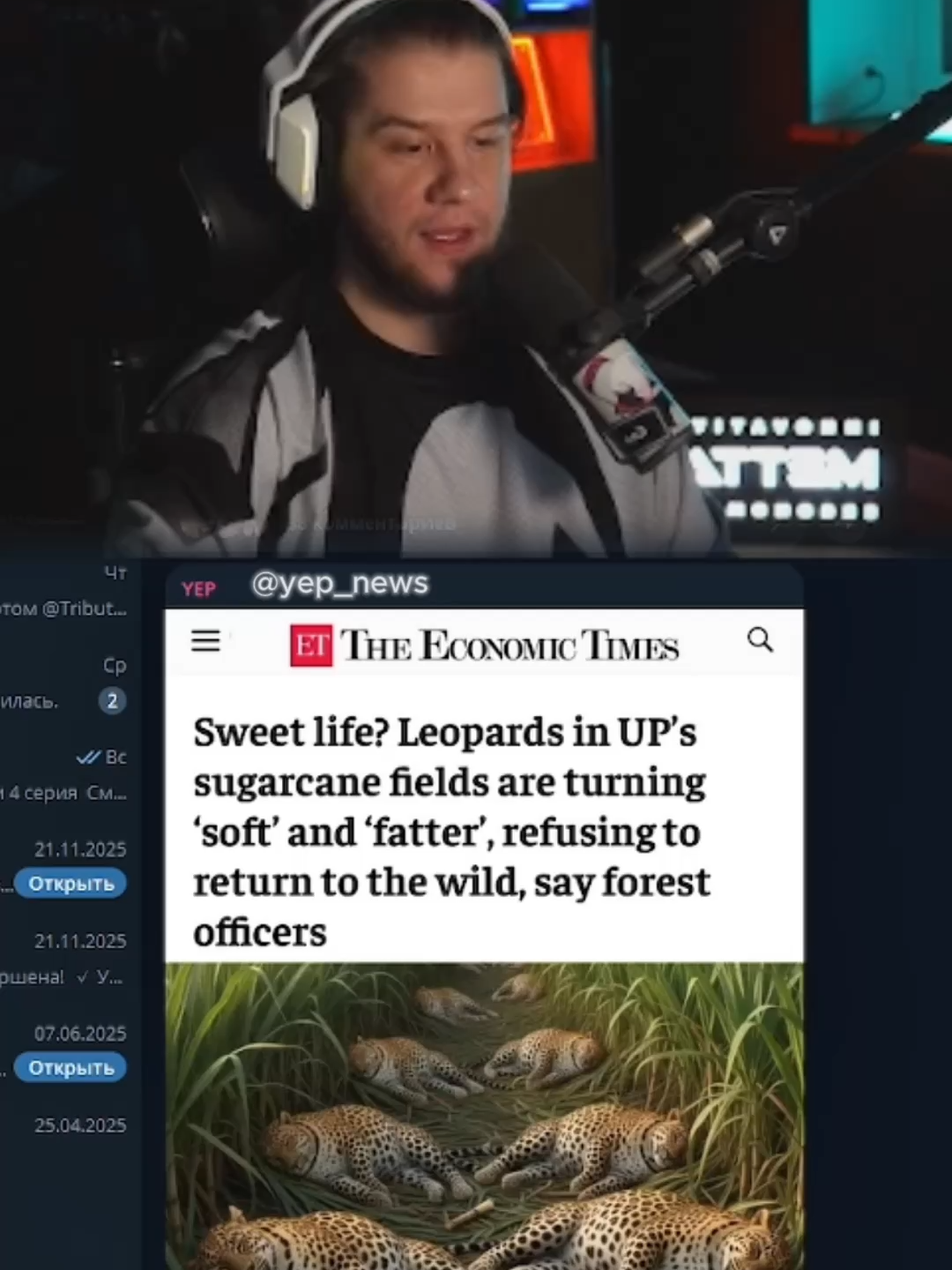 twitch: lagoda1337 #lagoda1337 #twitch #новости #леопард #животные