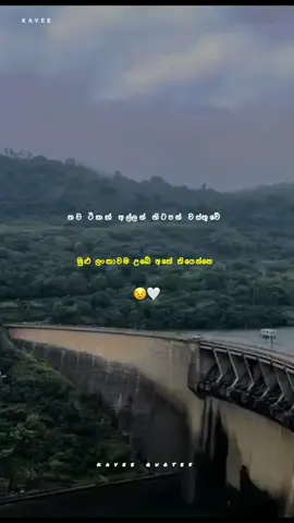 හැමෝම පරිස්සමෙන් ඉන්න 😣🤍#fypシ゚viral🖤tiktok #vairal_video_tiktok_trending #100kviews 