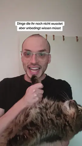 #wissen #fakten #bildung 