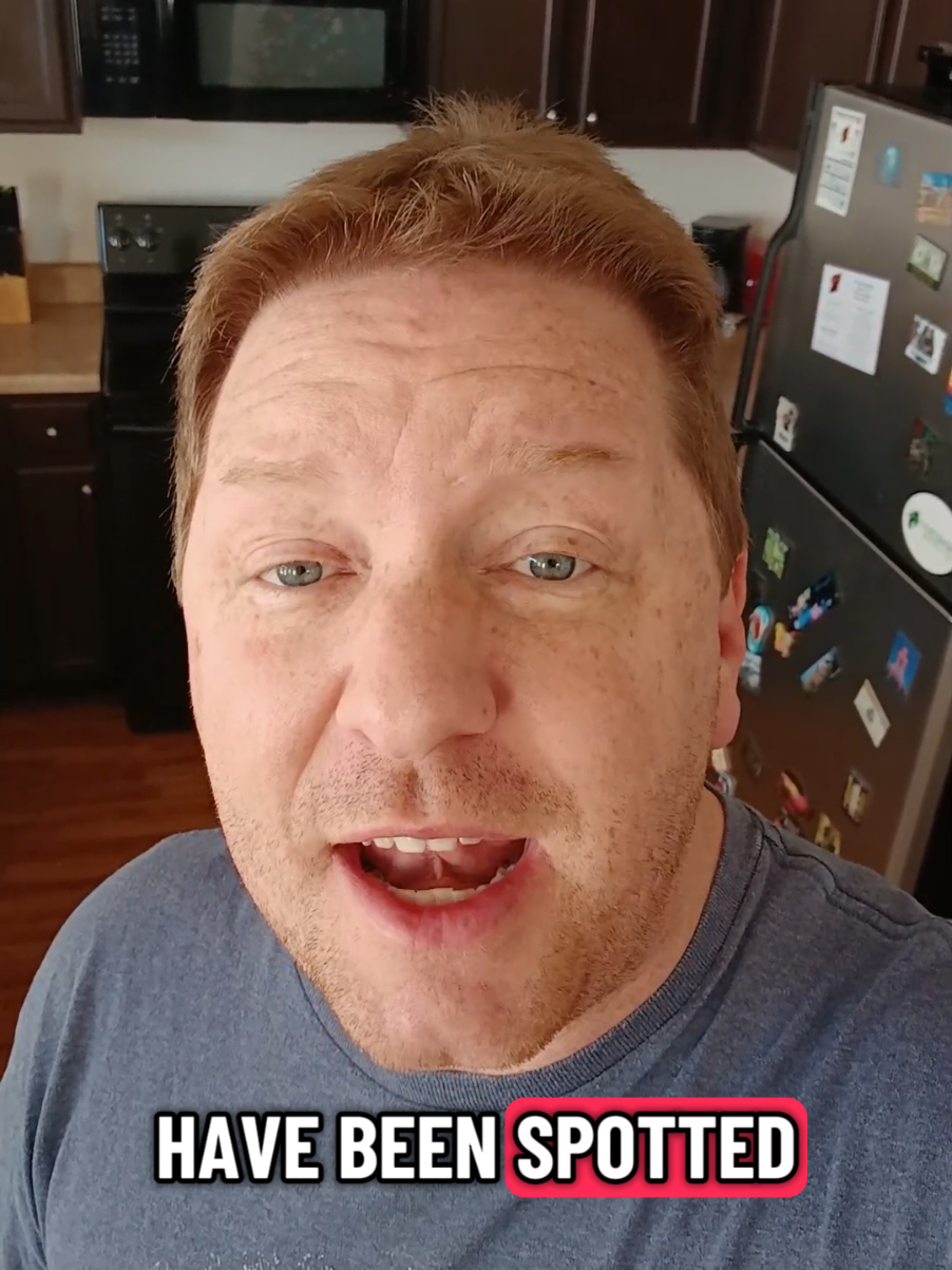 Minnesota Donald Trump Somalia #minnesota #somalia #trump #donaldtrump #politics 