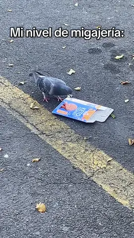 He de confesar 😪 #migajera 