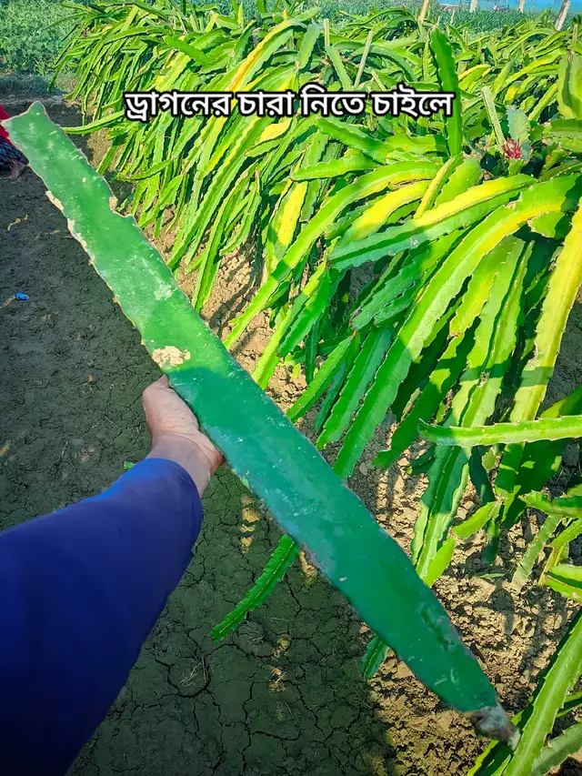 #foryou #tiktok #viralbaby 