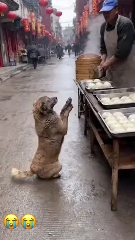 #አላህ #🥹🥹🥹 #islamic_video #viral #ethiopian_tik_tok🇪🇹 