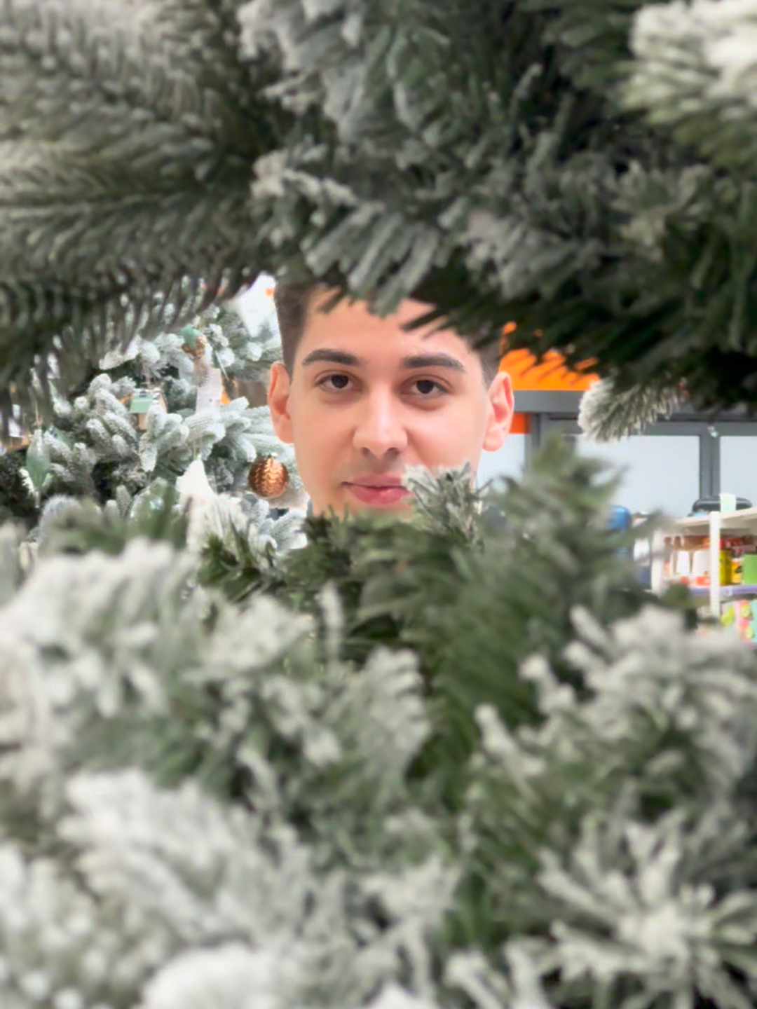 Sărbătorile se apropie cu pași repezi, iar în perioada 29 noiembrie - 06 decembrie ai 30% bani înapoi ca bonus pe card MyCLUB la brazi artificiali și instalații luminoase pentru brad! #atachiperdiscount #joscupreturile #maimultmaiavantajos