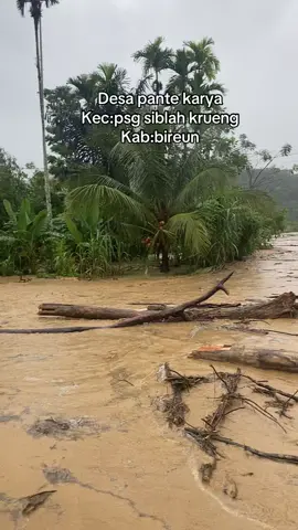 Banjir di desa pante karya pada hari rabu tgl 26 november 2025 setinggi 1sampai 2 meter. Alhamdulillah warga semuanya selamat,rumah warga banyak yang rusak parah, #pantekarya #banjir #aceh #bireuen 