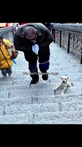 “One moment of cruelty…followed by a moment that changed his life.” 🥺❤️‍🩹 #rescuedog #dog #puppy #lovedogs #lovepositivity 