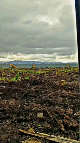 #fypシ #fyp #masukberanda #story #katakata 