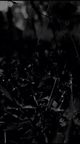 Alhamdulillah #story 