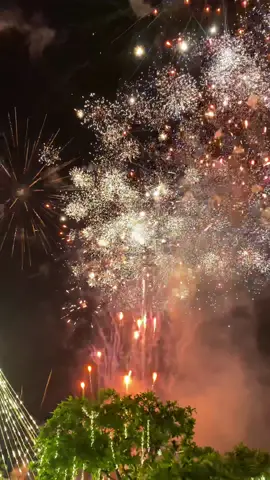 opening lights🎆🎄 #fireworks #opening #mandauecity #fyp #fypシ゚ 