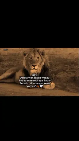 sida saxda ah🍂🤍 #somaliforyoupage #visewsproblem😭🙏 #foryoupage❤️❤️ #somaliforyoupage 