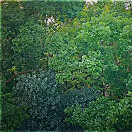 #CapCut পরিশ্রম কখনও জলে যেতে পারে না। আপনি পরিশ্রম করেন আর আল্লাহর উপর ভরসা রাখেন ইনশাআল্লাহ সফল হবেন.!🖤 #Tiktok #tiktokvairal #tiktokbangladesh #vairalvideo 