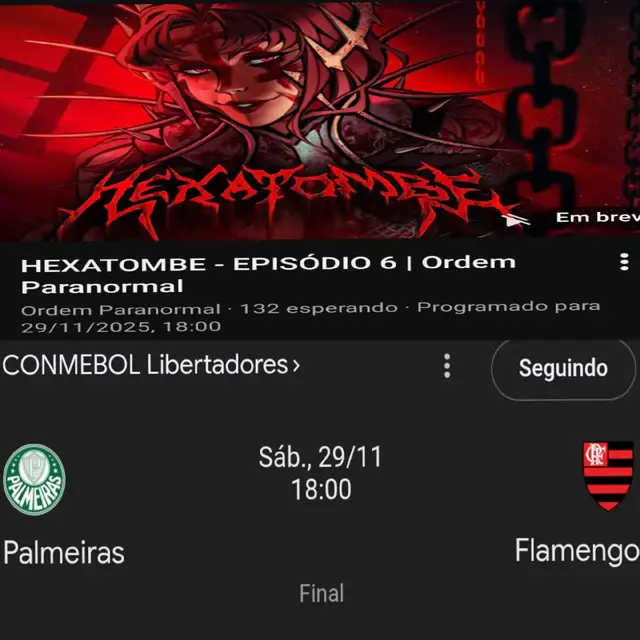Nãoooo como eu vou ver o mengão ganhar 😩😭 #hexatombe #libertadores #Flamengoxpalmeiras #ordemparanormal 