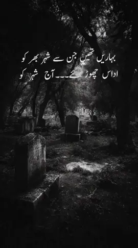 Reality #Qabristan #پوریسرارقبرستان #islam #islamic_video #fyp 