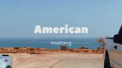 🇺🇸🌶️ #fyppppppppppppppppppppppp #mosteng #explore #coyote #weldracing 