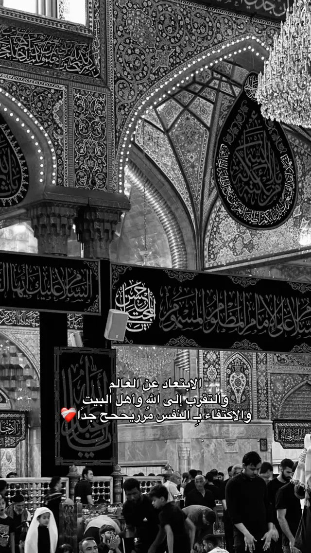 مُريح جدًا❤️‍🩹❤️‍🩹❤️‍🩹❤️‍🩹 #كربلاء_العشق #أهل_البيت_عليهم_السلام #قصائد_حسينيه #ياحسين #ياعباس 