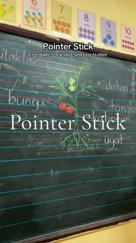 Very useful pointer stick for teaching ✨ #teacherpointerstick #pointerstick #pointerstickforteacher #pointerfingerstick 