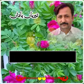 #unfrezzmyaccount #creatorsearchinsight #pothwari  share , follow report share #❤️❤️❤️❤️❤️❤️❤️😘🥰🥰💕 💯❤️