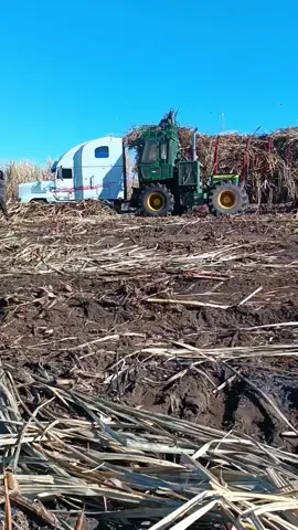 esto es una belleza 😎😎 #cargadorasdecaña #zafra25_26 #centralizalco #rastrascañeras #cañerosdecorazón 