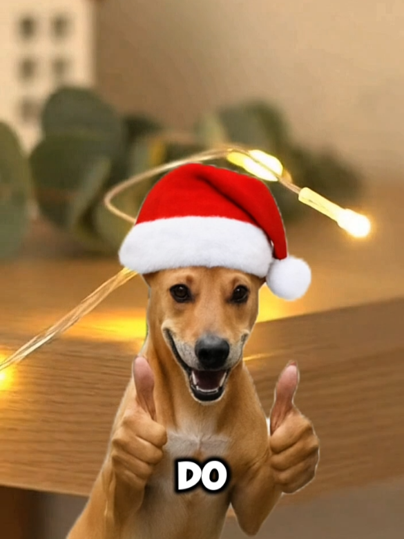 PISCA PISCA NO PRECINHO NO TIKTOK SHOP! BLACK FRIDAY! 😱 #blackfriday #fyp #viralvideo #natal #tiktok 