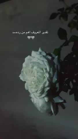 تقدير المعروف اهم من رده…🩶🩶 #عبارات #اقتباسات #اكسبلورر 