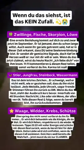 #Seelenverwandter #Exzurück #Liebeszauber #Liebezurückmanifestieren #liebeszauber 