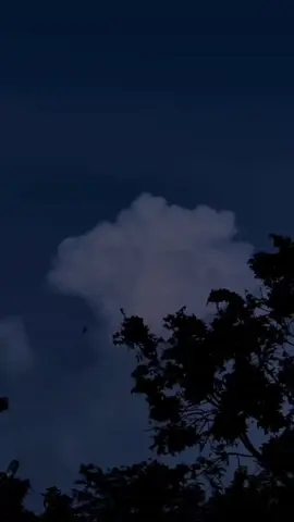 #ฟังเพลิน🎵🎶🥀💗 