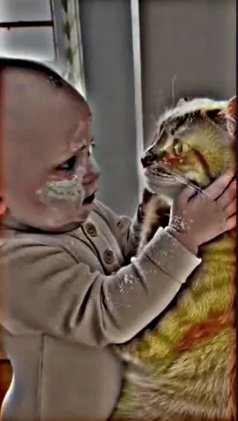 original 😂😂mdsubaha #mshridoy #mshrid #Mayaboti #jdhhridoy #mdsubahanhridoy