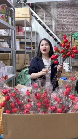 Cành lựu đông#xuyentranshop #canhluu #xuhuong 