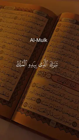 Surah al mulk✨🤍 #quran #quran_alkarim #قرآن #france #usa 