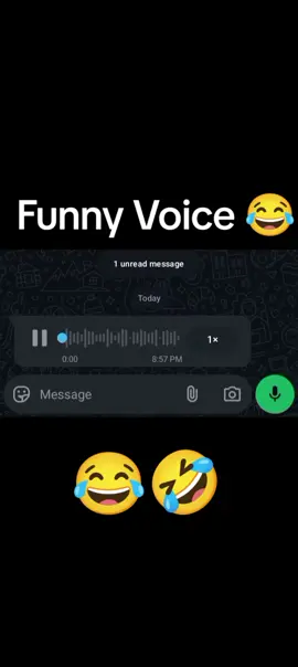 funny Voice Status 🤣🤣😂      #fypシ゚ #Viral #accointfullfreeze #plzunfreezmyaccuont #foryoupageofficiall❤️❤️tiktok @卄卂几ᗪ丂ㄖ爪Ë 