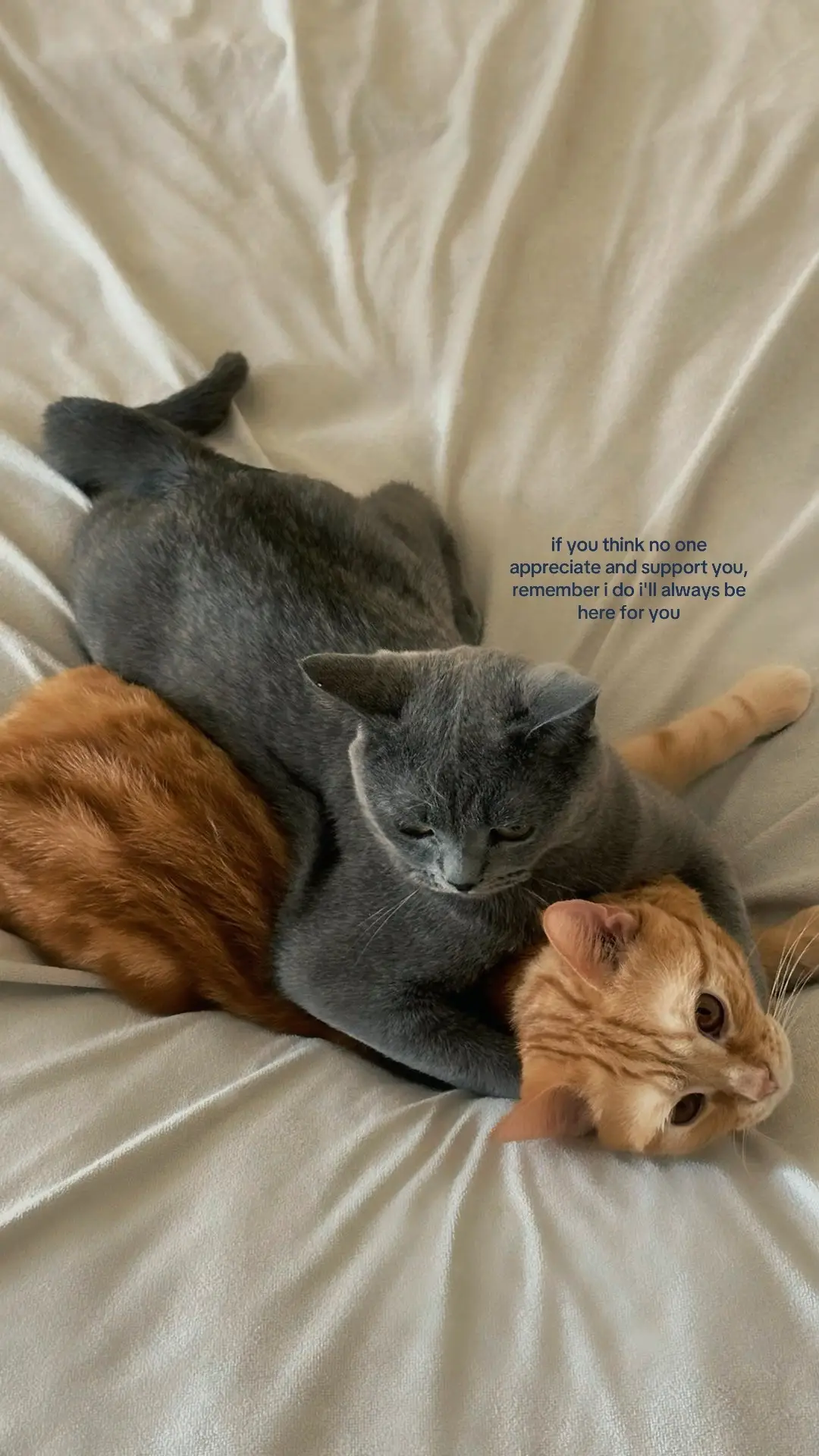 #fyp #foryoupage #4u 